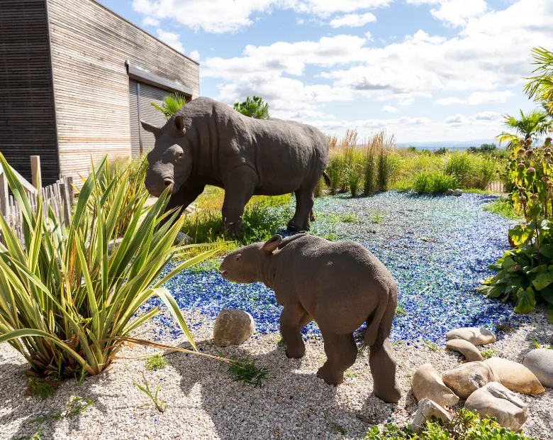 photo de deux sculpture de rhinocéros sans corne de la Limagne à Paléopolis