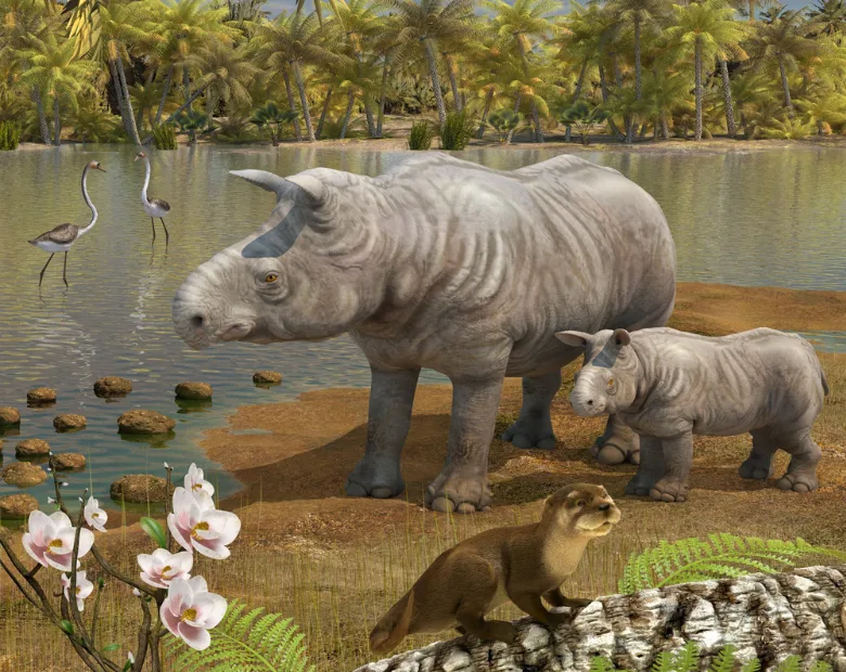 Illustration des deux rhinocéros du film le monde perdu de la Limagne à Paléopolis