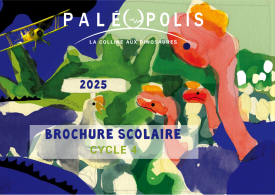Brochure scolaire – cycle 4
