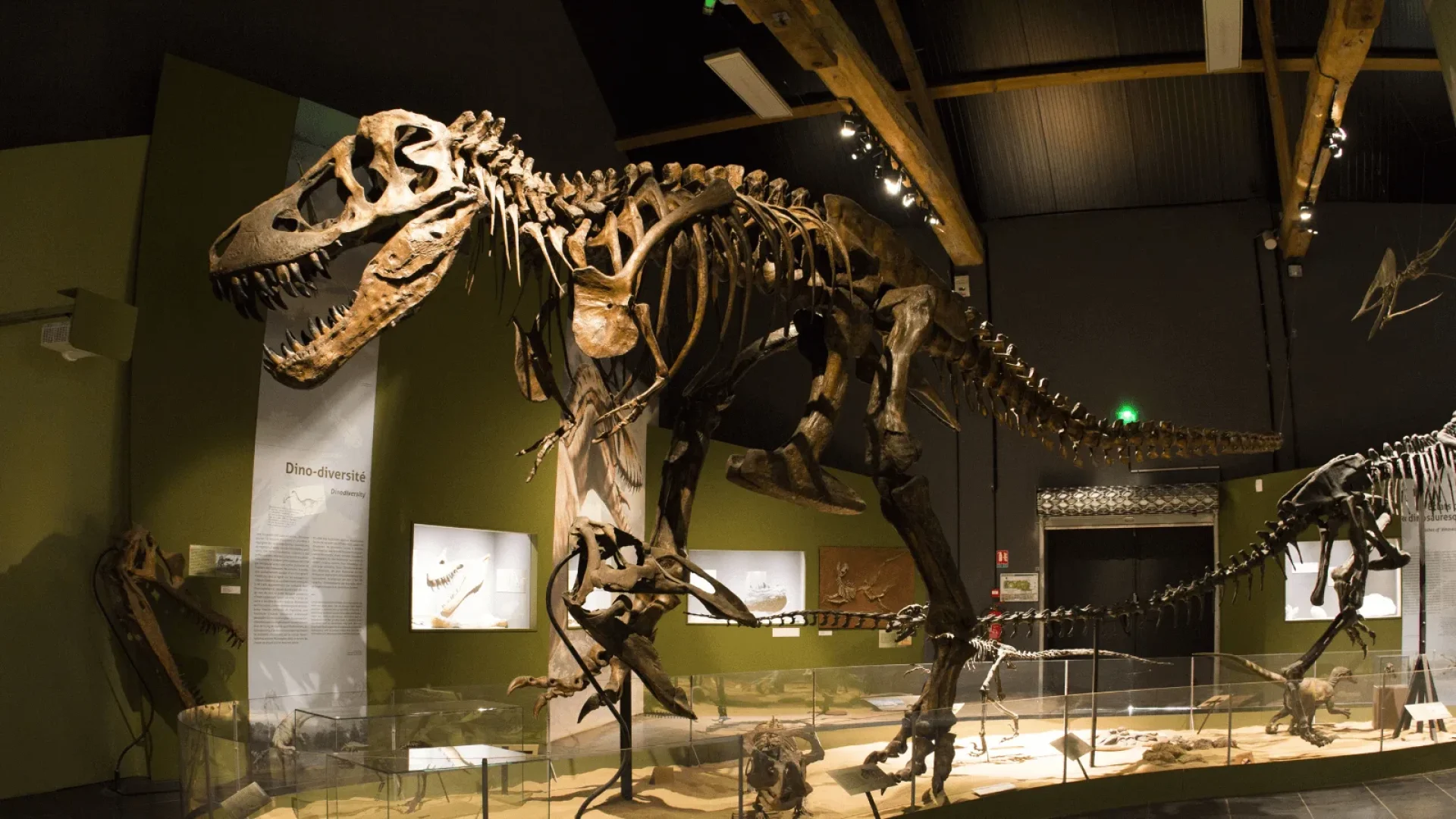 photo du t-rex de l'exposition à Paléopolis