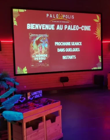 Paléo Ciné